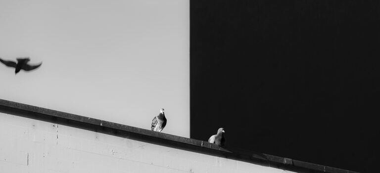 흑백논리에 빠진 교회