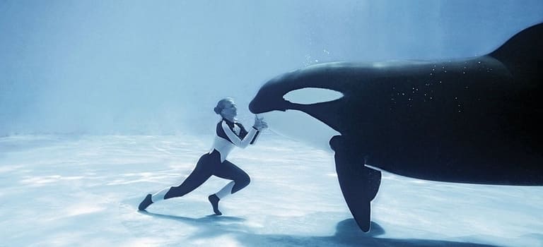 범고래와 조련사